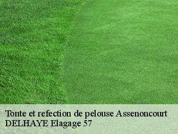 Tonte et refection de pelouse  57810