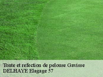 Tonte et refection de pelouse  57570