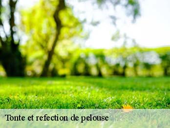 Tonte et refection de pelouse  57580