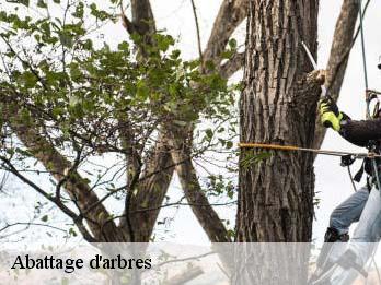 Abattage d'arbres  57450